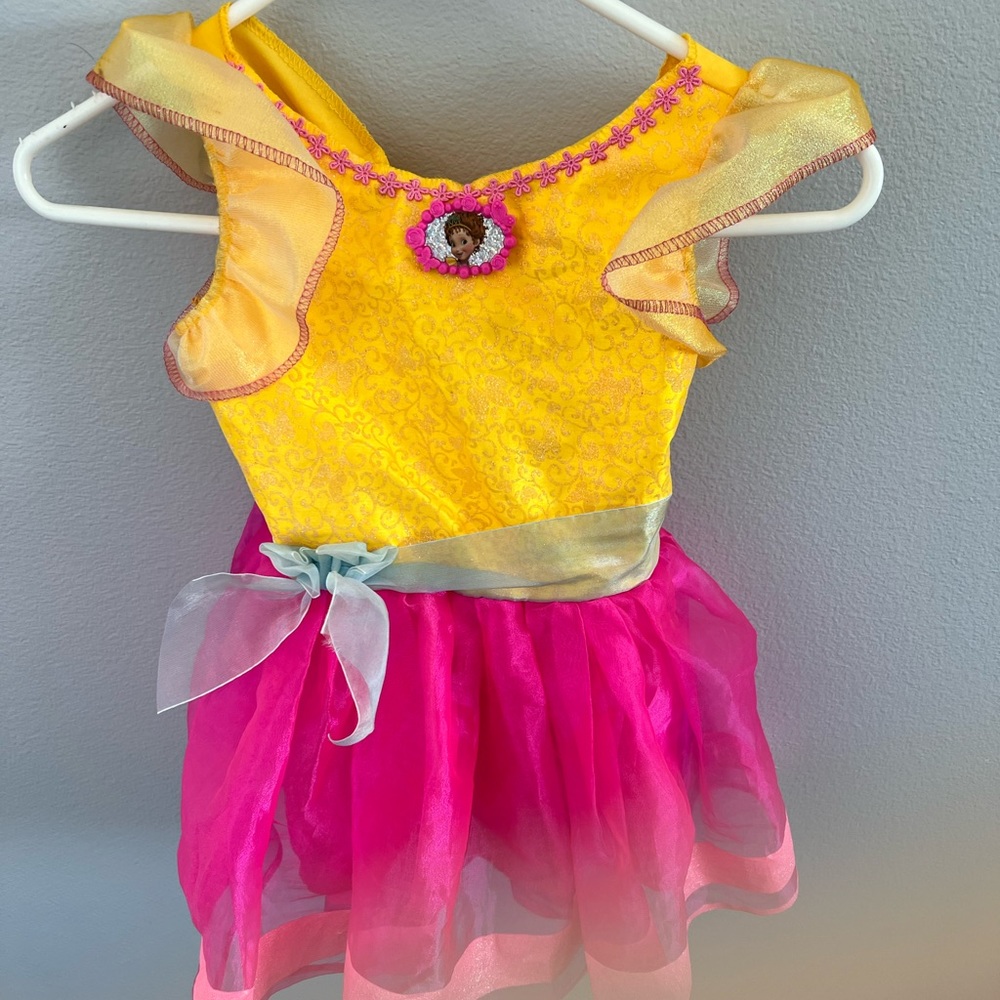 Fancy Nancy dress up